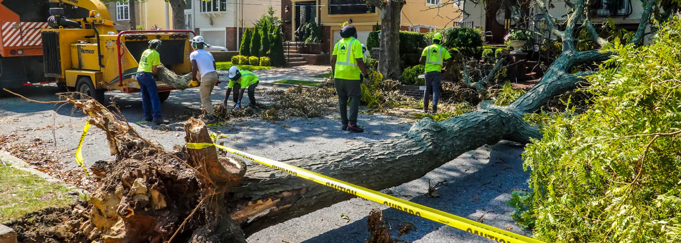 Featured Image for LOTUS TRANSPORT LLC